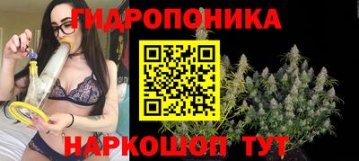 дурь Лесосибирск