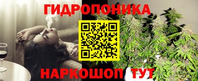 дурь Лесосибирск