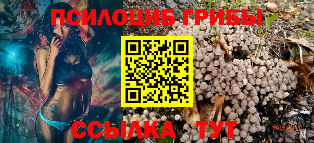 Моршанск  Галлюциногенные грибы Magic Shrooms  дарнет шоп  Галлюциногенные грибы прущие грибы  Вход с VPN 